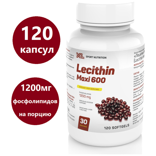   XL Lecithin Maxi, 120 ,     , -, 