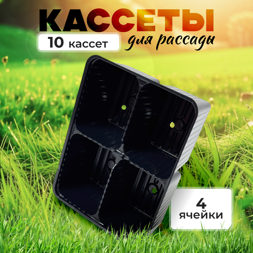 ���������� ������� ��� ������� - 4 ������, ����� 10 ����