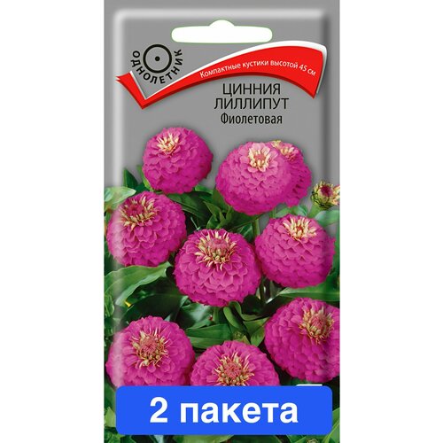 ���������� ����� ������ �������� ���������� 2 ������