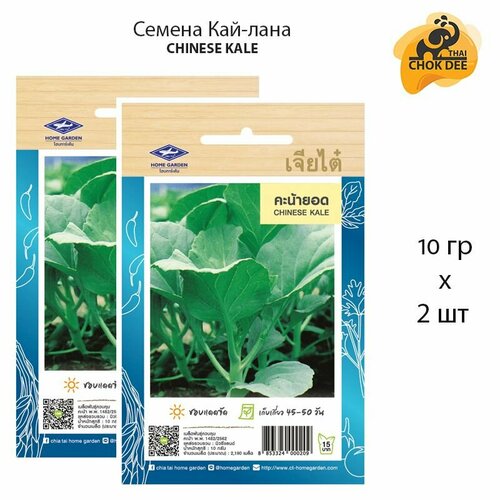 ���������� ������ ��������� �������� ��� ��� 2�10 � �������, Chinese Kale Seeds / Thai Chok Dee