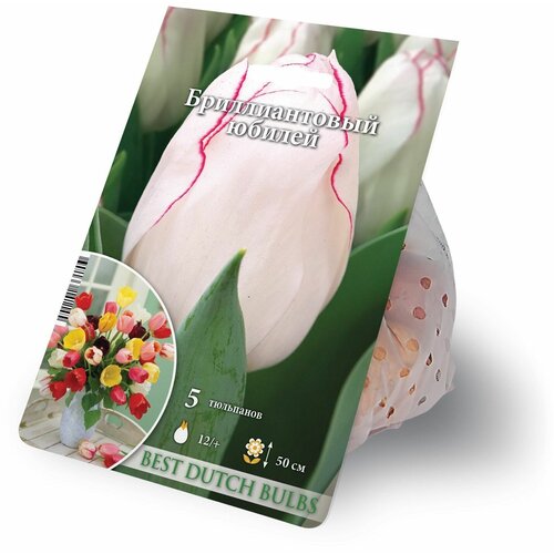 ���������� ������� ������������� ������ 5 ������� 12/+