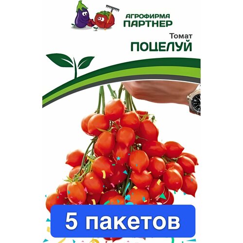 ���������� ������ ������ ��������� ������� 