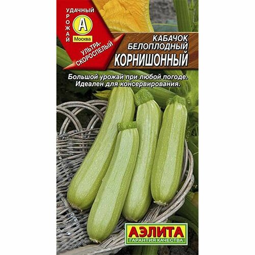 ���������� ������ ������� ����������� ����������� (������) 1�