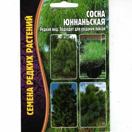 ���������� ����� ���������� / ������ ���, �������� ��� ������ ( 1 �� : 25 ����� )