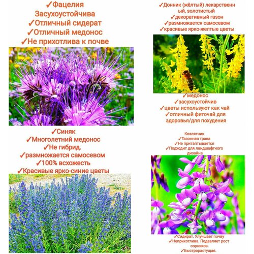 ���������� ����� ���������� ����/���������,200�� (������+�������+�����+���������)