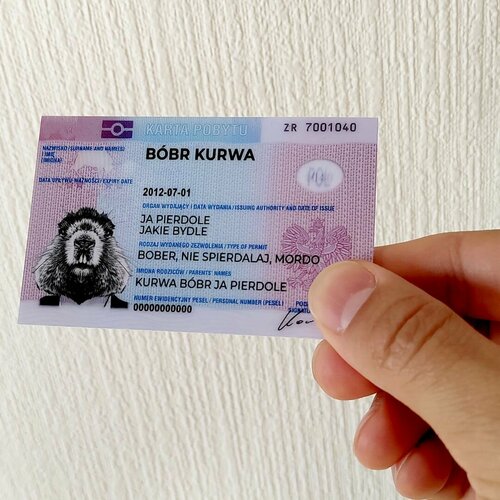   bobr kurwa (Bobr kurvva) 8656     , -, 