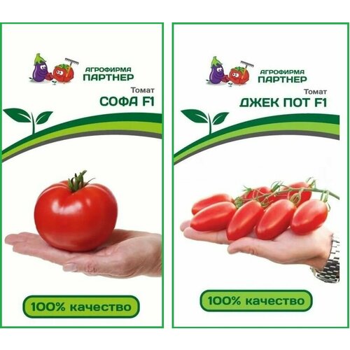 ���������� ����� ����� ���� F1 + ���� ��� F1 ������ ������� (2 ��������)