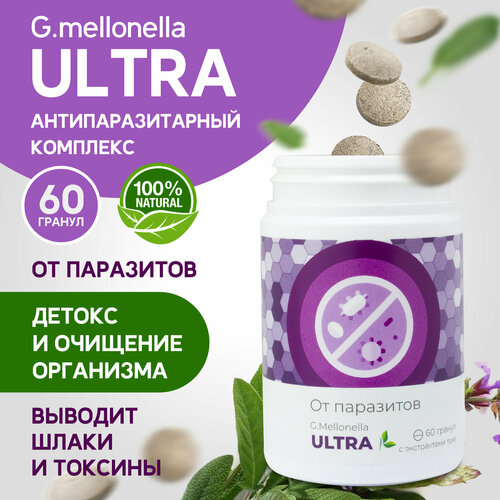 ���������� ������� ������ - ���������������� ��������, ������, �������� ���������, �� ������ � �������� 60 ������