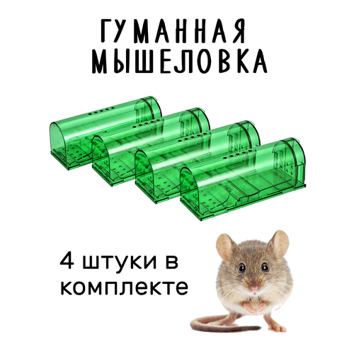 ���������� ��������� ��������, ��������� ��� ���� � ���� (������� ��� ����� � ������), �����������, �������� �� 4 ����, �������