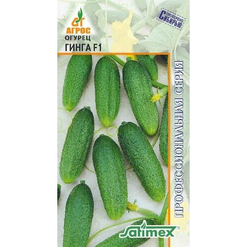 ���������� ������ ������ ����� F1 �������� 10�� ������������������ (�����)