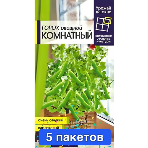 ���������� ������ ������ ������ ����� 