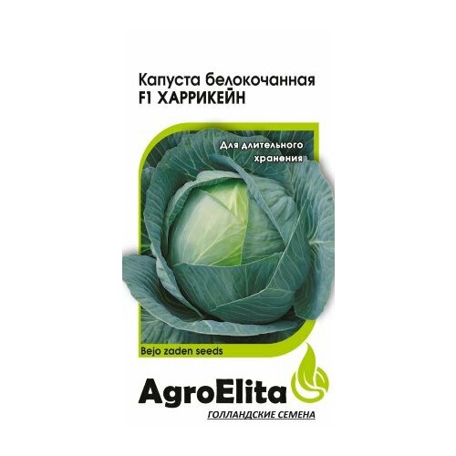 ���������� ������ ������� ������������ ��������� F1 10�� (���������) ��������� ����