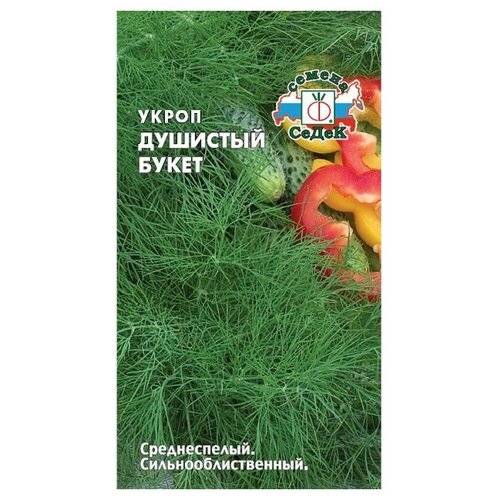 ���������� ������ ����� ����� �������� �����