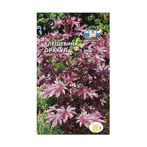 ���������� ������ ��������� ����� ������ 1 �