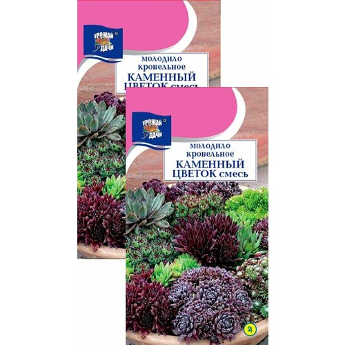 ���������� �������� �������� ������ ����� (0,005 �), 2 ������