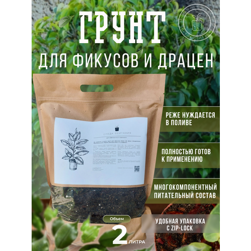 ���������� ����� 