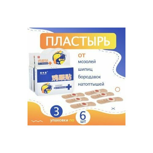 ���������� 3 �������� �� 6 ��. �������� �� ����� �������, ����������, ����� � ��������� Baozhongbao