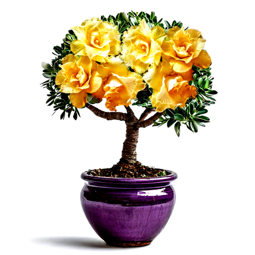 ���������� ������������ ������ ������� ������� ��� 3 ��.