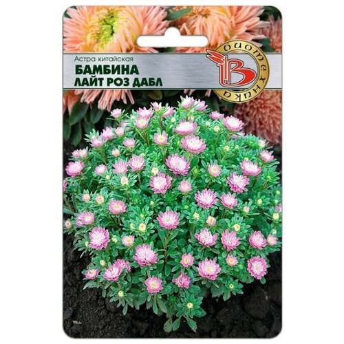 ���������� ������ ����� ��������� 