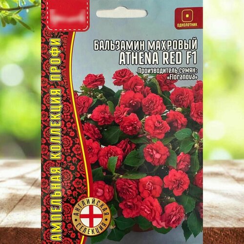 ���������� ������ ������ ��� ���� � ���� ��������� �������� ��������� 1 ��.