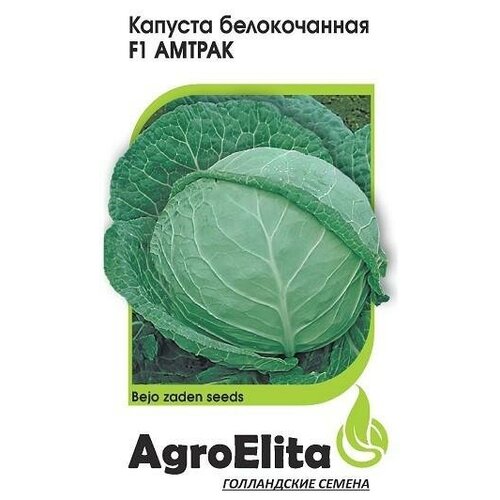 ���������� ������. ������� ������������ 