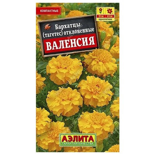 ���������� ������. �������� ����������� 