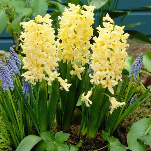 ���������� ������� ������ �������� (2 ��)