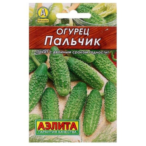 ���������� ��������� ������ ������ ������ �������, �����������, ��������������, 20 ��