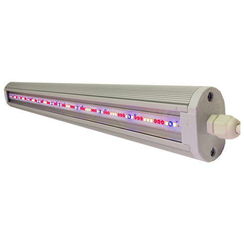 ���������� FitoLED Combo ����������������� 74��, 1 ��., �����������