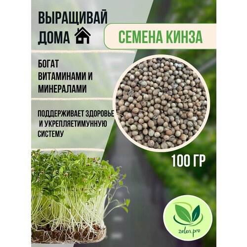 ���������� �����. ����� �����������. ������ ��� ������������