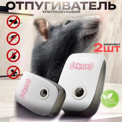 ���������� ������������ ��������������, 2 ��