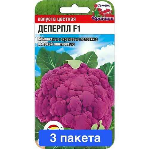 ���������� ������ ������ ��������� ��� 