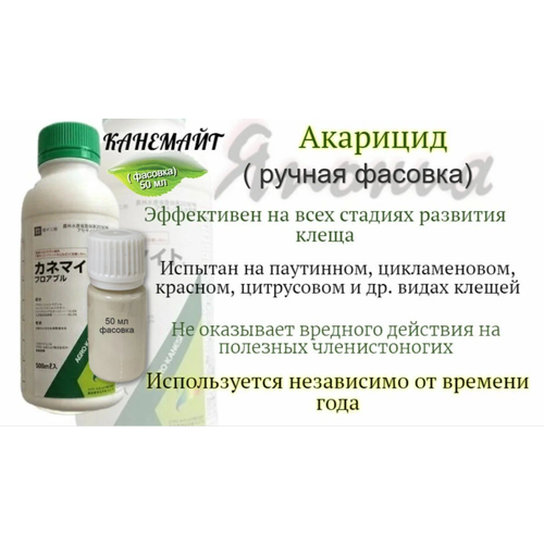 ���������� �������� ������ ������ �������� ���������� �� ���� ������� �������� �����, 50 �� ( �������)