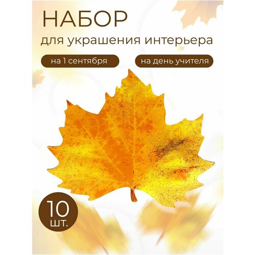 ���������� ������� ����� ���� �������� 