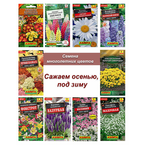 ���������� ������ �������������, ����� ����� ����������� ������