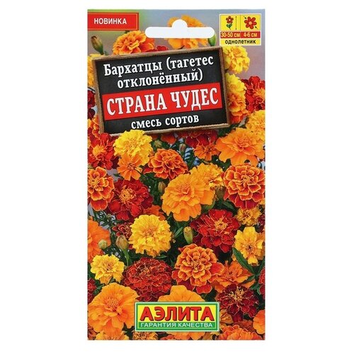 ���������� ������ ��������� ������ �������� ������ ����� �����������, ����� ������, 0,3 ��