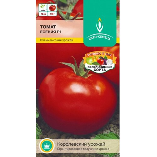 ���������� ����� ������ F1. ������. ������������ ��������������� ������. �������� ������� 65-70 ��. ����� ����� �������, ���� �������, ������ �� 140 ��.