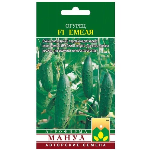 ���������� ������ ����� 