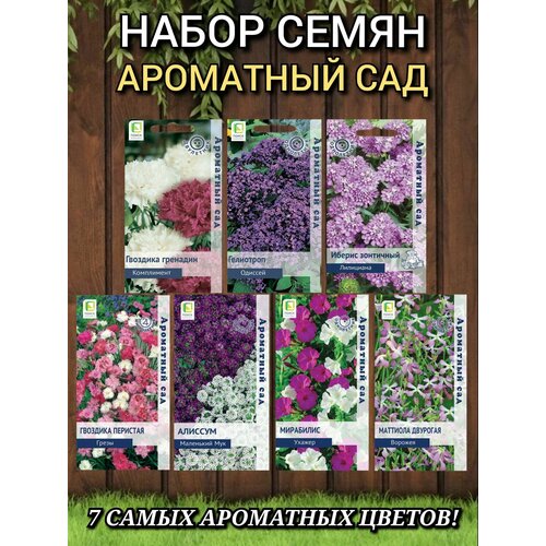 ���������� ������ ������ �����, ���������, 7 �����, ����������