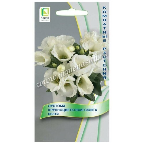 ���������� ������ ������� ��������������� ����� ����� ����� 5 ��