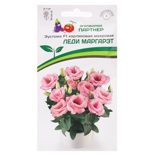 ���������� ������ ������� 