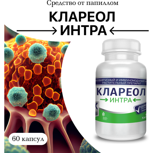 ���������� �������� �� ��������� � ��������, 1 ��, 60 ������