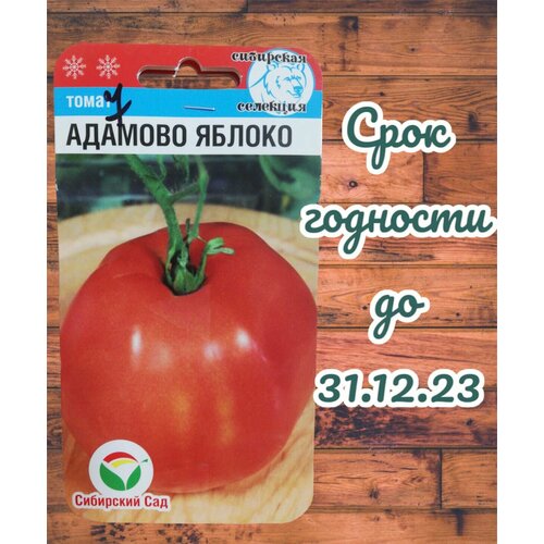 ���������� ������ ����� ������� ������ 20 �� (�����) (��������� ���)