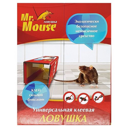 ���������� ������� ������� Mr. Mouse ������� �� �������� ������