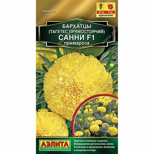 ���������� ������ �������� ����� F1 ��������� ����, ����������, (������) 10�� ������� �����