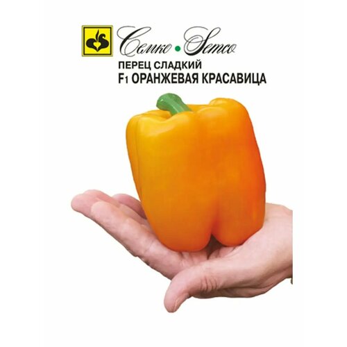 ���������� ������ ����� ������� 