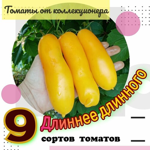 ���������� ������ �������, 9 ������ ������������� �������, 90 �����