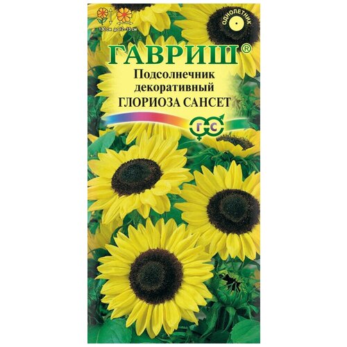 ���������� ������ ������������ ������������ �������� ������, 0,5�, ������, ��������� ���������, 10 ��������