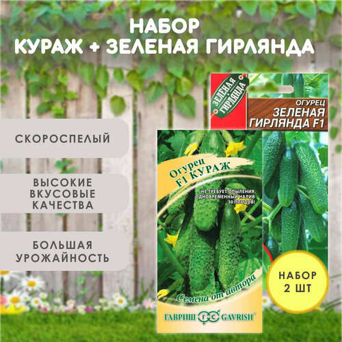 ���������� ������ ������� ����� + ������ ������� ��������, �������������, �����������, ����� 2 ��