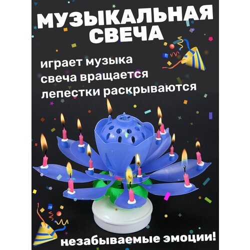 ���������� ����� ����������� ����� ��� ����� ���� ��������